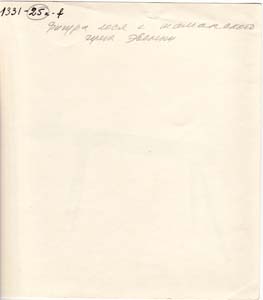 1331-25a-fhinten
